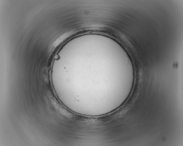 X0000112820970200909111318