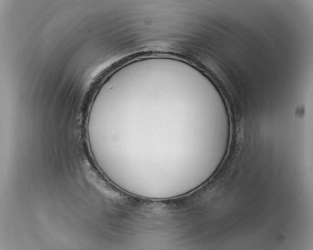 X0000112820971200909111318