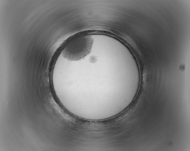 X0000112820972200909111318