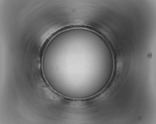 X0000112820973200909111318