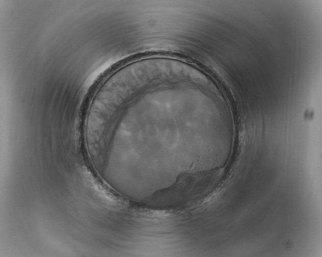 X0000112820975200909111318