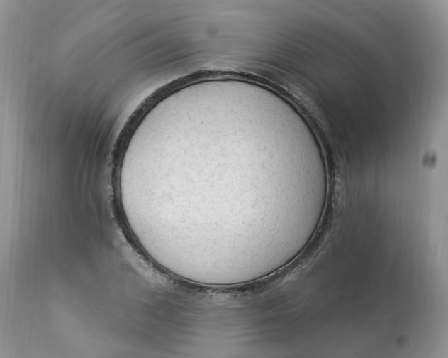 X0000112820976200909111318