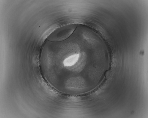 X0000112820977200909111318