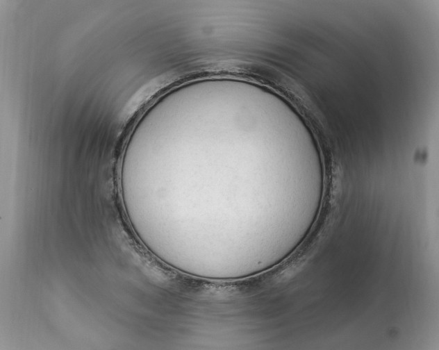 X0000112820978200909111318