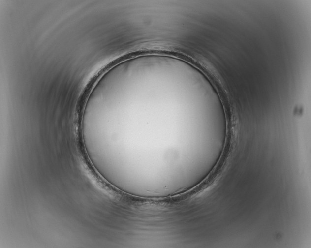 X0000112820981200909111318