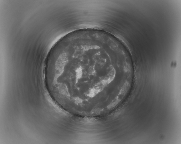 X0000112820983200909111318