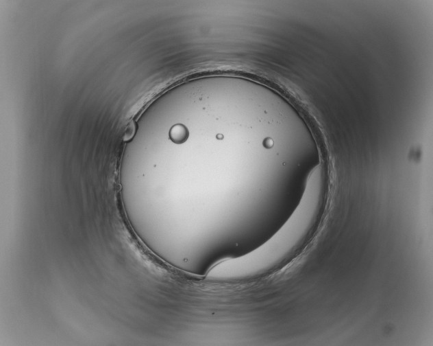 X0000112820985200909111318