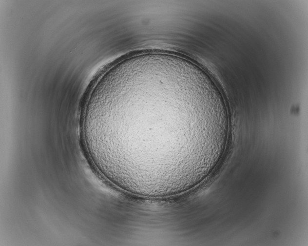 X0000112820987200909111318