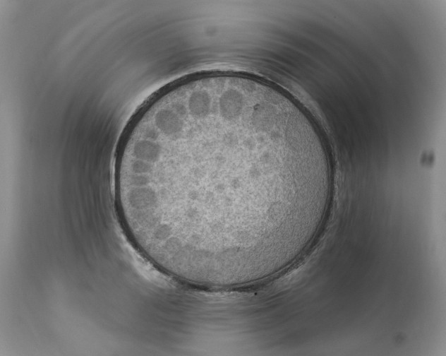 X0000112820988200909111318