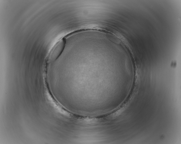 X0000112820989200909111318