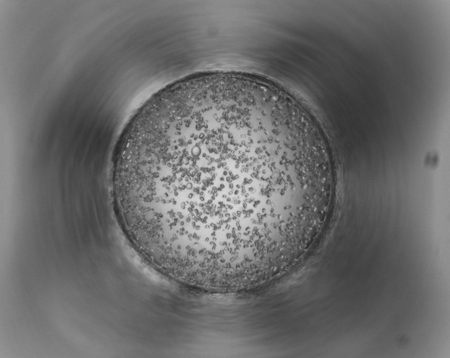 X0000112820990200909111318