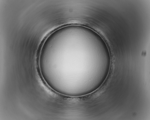 X0000112820991200909111318