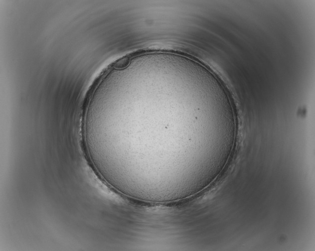 X0000112820992200909111318