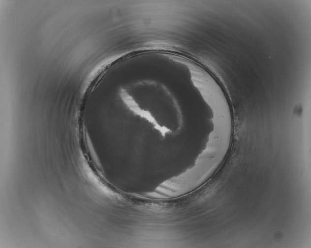 X0000112820995200909111318