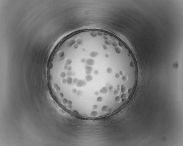 X0000112820996200909111318