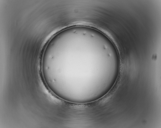 X0000112820999200909111318