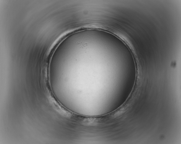 X0000112821000200909111318