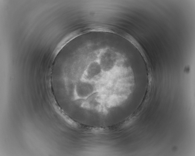 X0000112821002200909111318