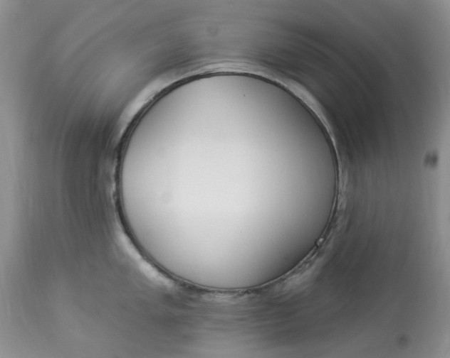 X0000112821005200909111318