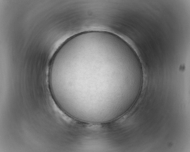 X0000112821006200909111318