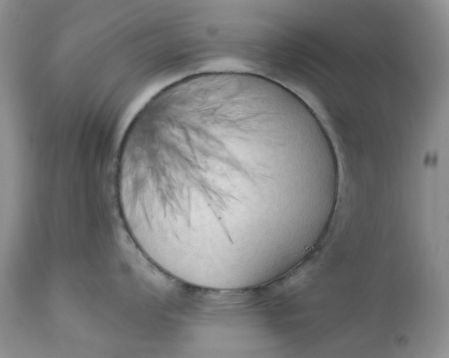 X0000112821008200909111318