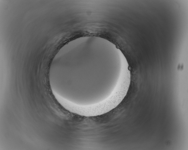 X0000112821009200909111317