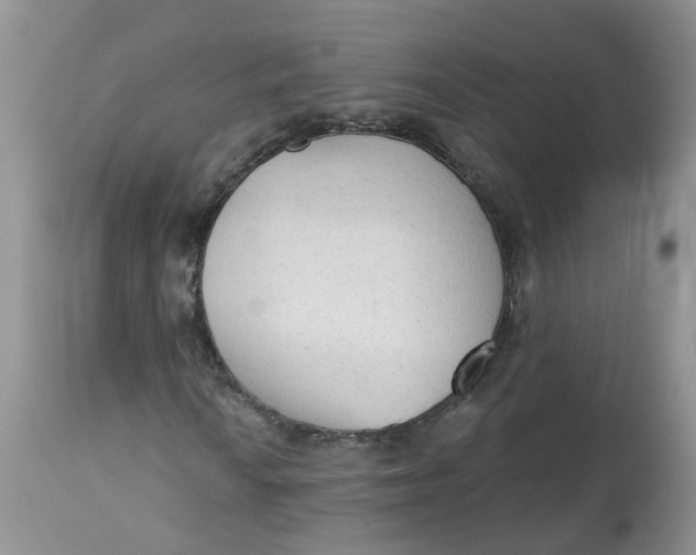 X0000112821010200909111317