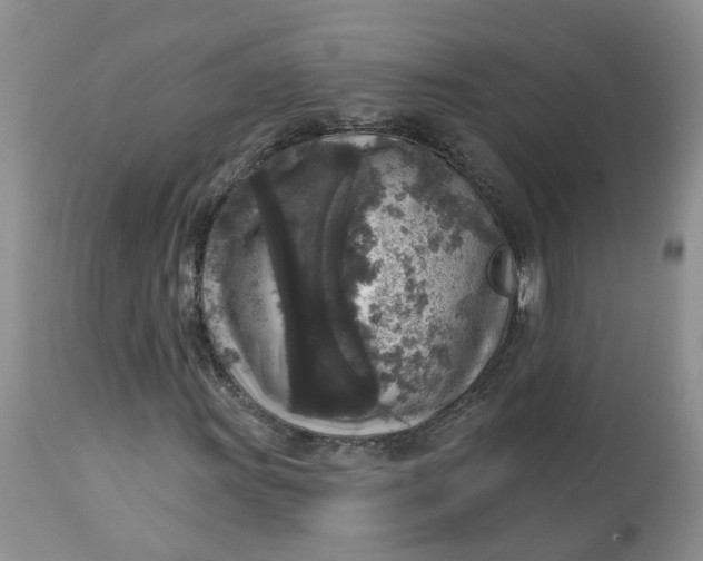 X0000112821011200909111317