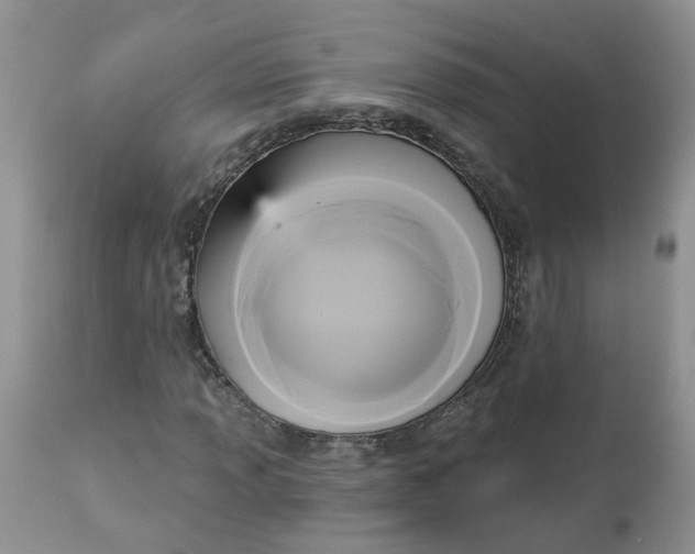 X0000112821013200909111317