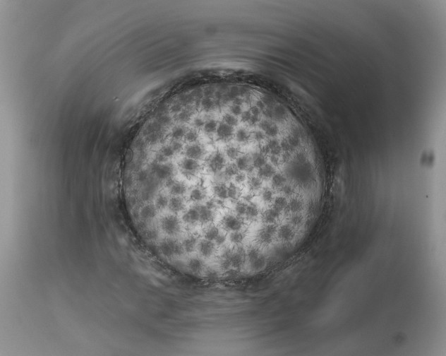 X0000112821014200909111317