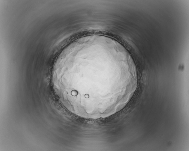 X0000112821015200909111317