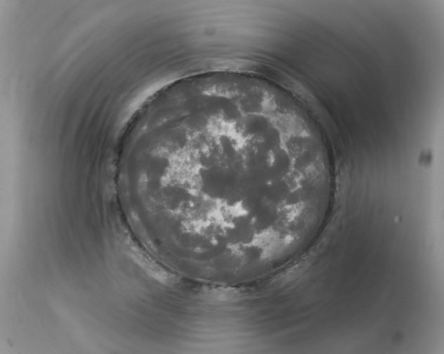 X0000112821019200909111317