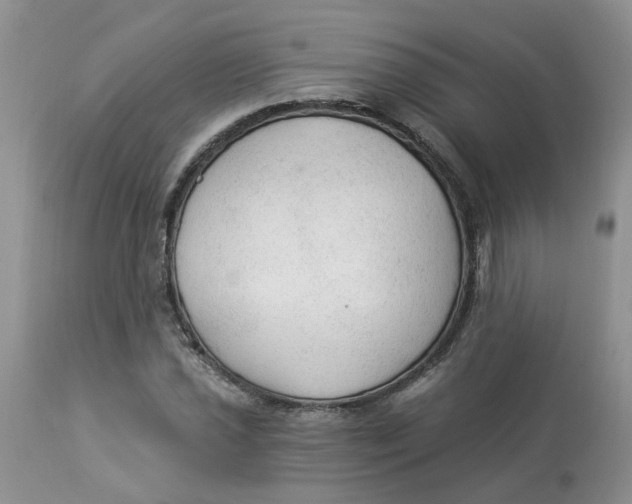 X0000112821021200909111317