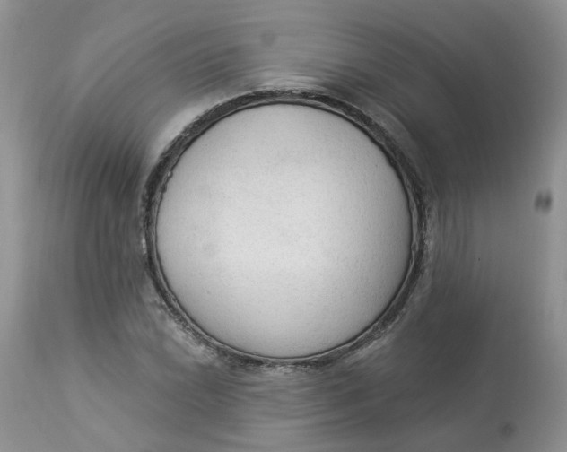 X0000112821022200909111317