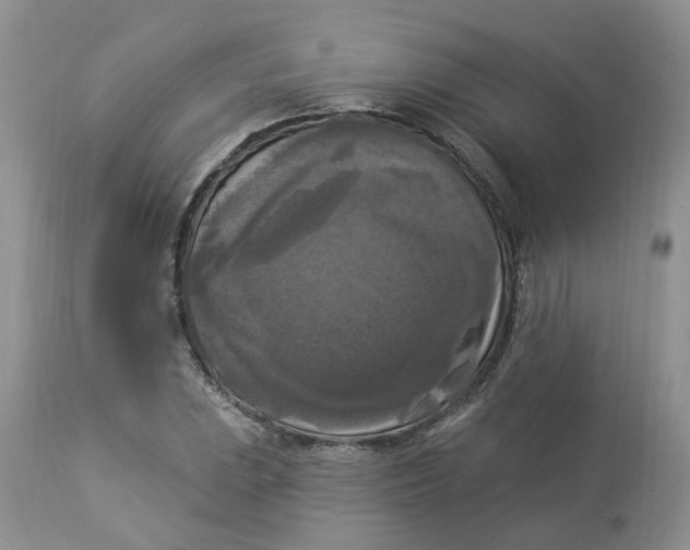 X0000112821023200909111317