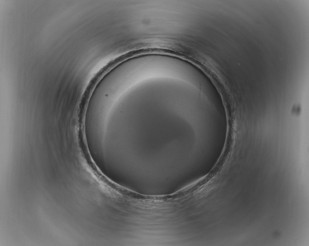 X0000112821024200909111317