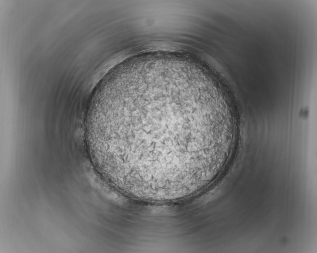 X0000112821025200909111317