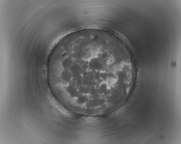 X0000112821027200909111317