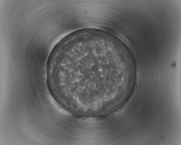 X0000112821028200909111317