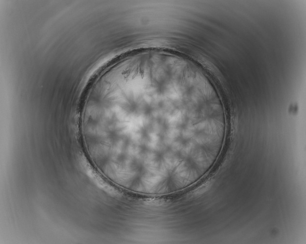 X0000112821029200909111317