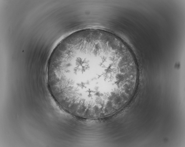 X0000112821032200909111317