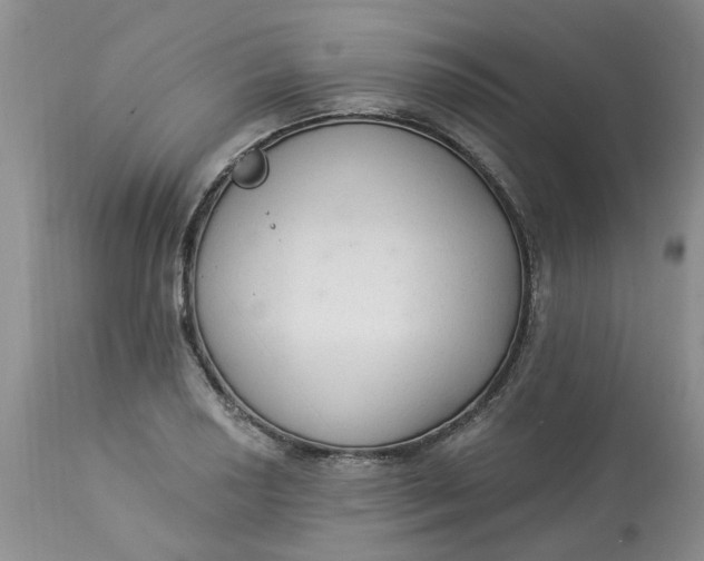 X0000112821034200909111317