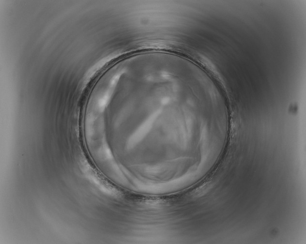 X0000112821035200909111317