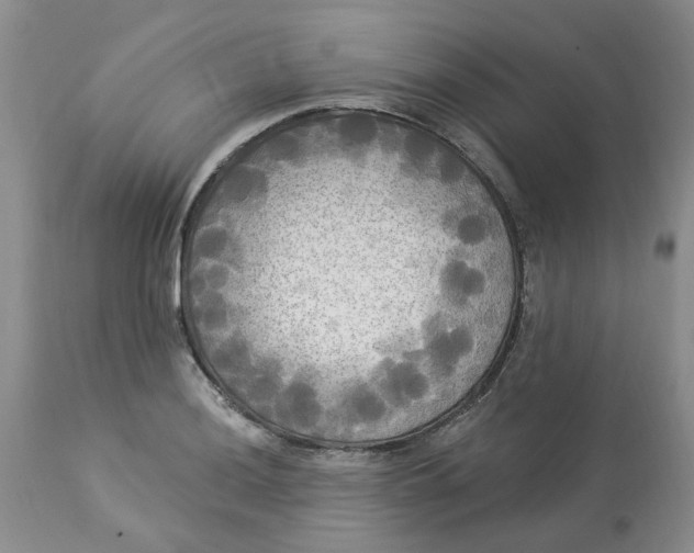 X0000112821036200909111317