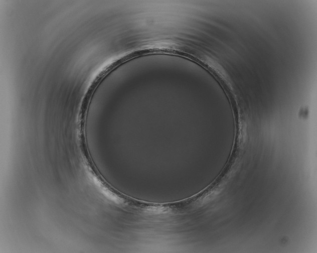 X0000112821037200909111318