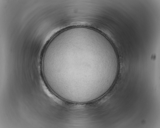 X0000112821038200909111318