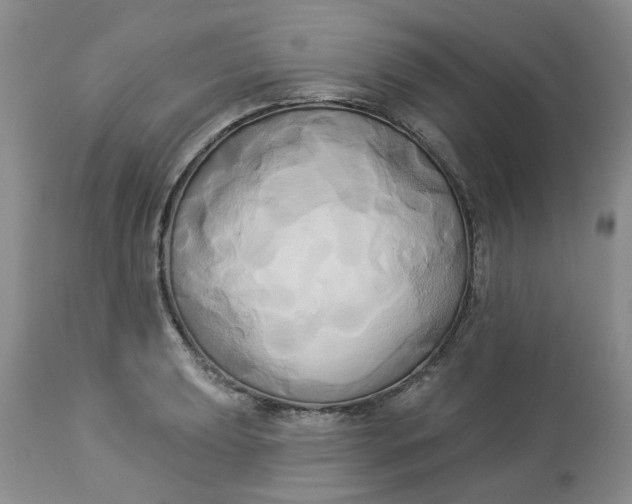 X0000112821039200909111318