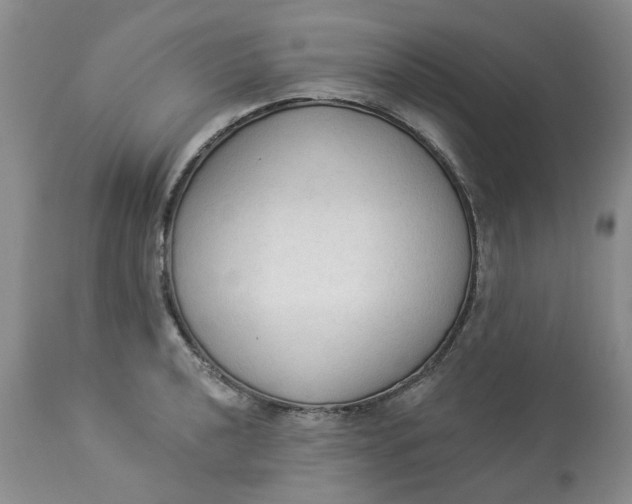 X0000112821040200909111318