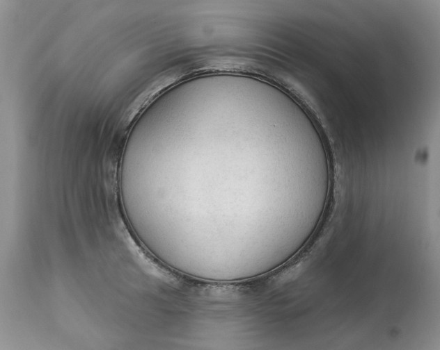 X0000112821041200909111318