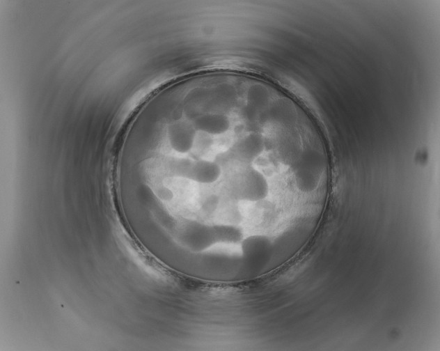 X0000112821043200909111318